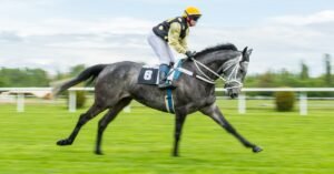 Luxembourg Eyes Triumph at the €1.9 Million Howden Neom Turf Cup